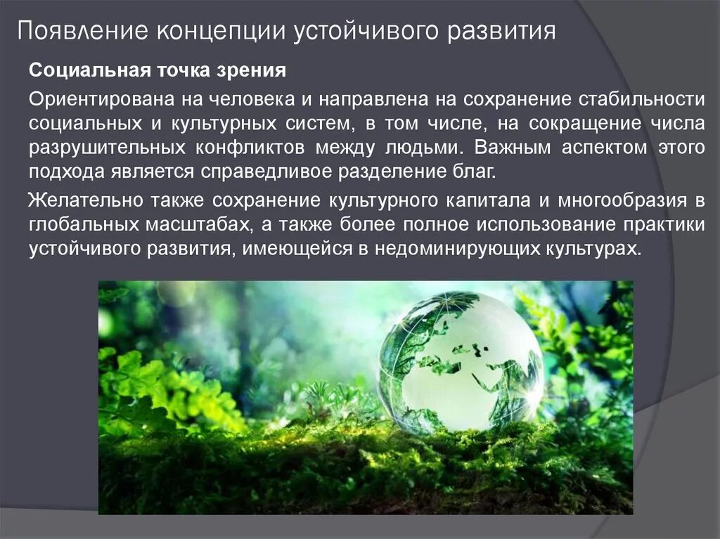 Концепция устойчивого развития. Концепция экологической устойчивости. Концепция устойчивого экологического развития. Понятие устойчивого развития.