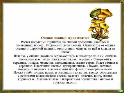 Ложной написал