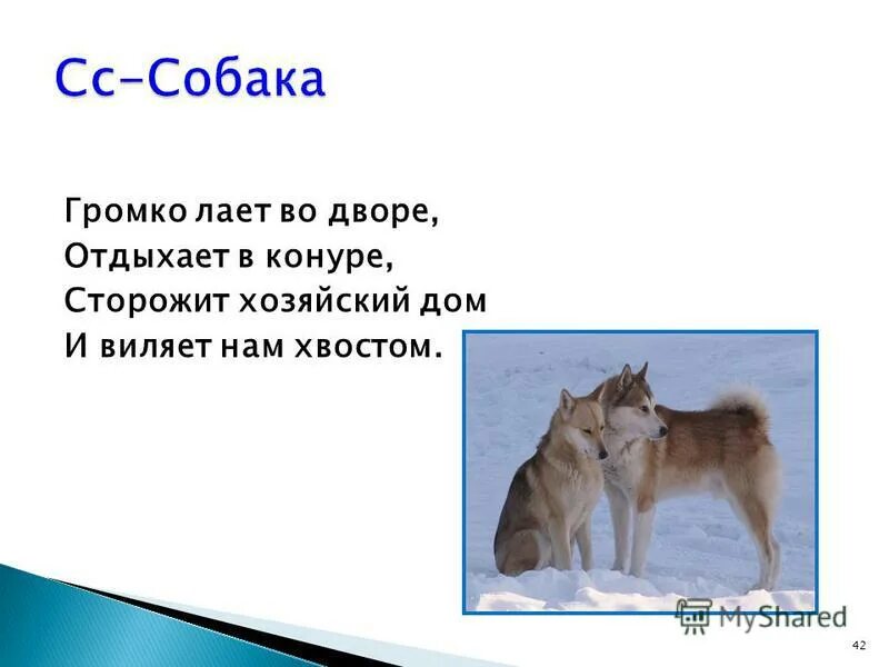 В ауле множество собак встретило. Множество собак встретили нас громким лаем. Фон для хауса собак. Учебник чешко русский язык. Сергей михалков про собак.