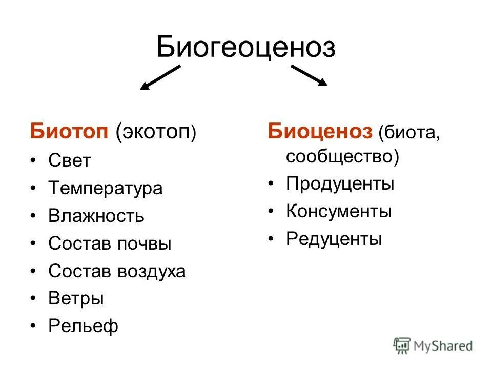 К биогеоценозам относятся