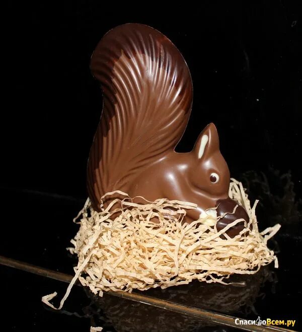 Белки в шоколаде. Шоколадные фигурки. Фигурный шоколад. Шоколадная Белочка. Шоколадная фигурка белка.