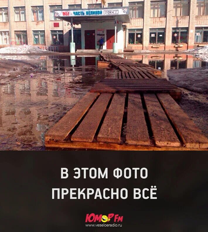 Школа величия. Школа величия. Лев на черном фоне. Школа величия. Школа величия.