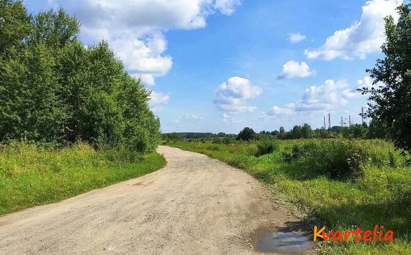 Лесная река череповецкий район. Погода музга череповецкого. Коротнево череповецкий район. Музга череповецкий район. Деревня панфилка череповецкий район.
