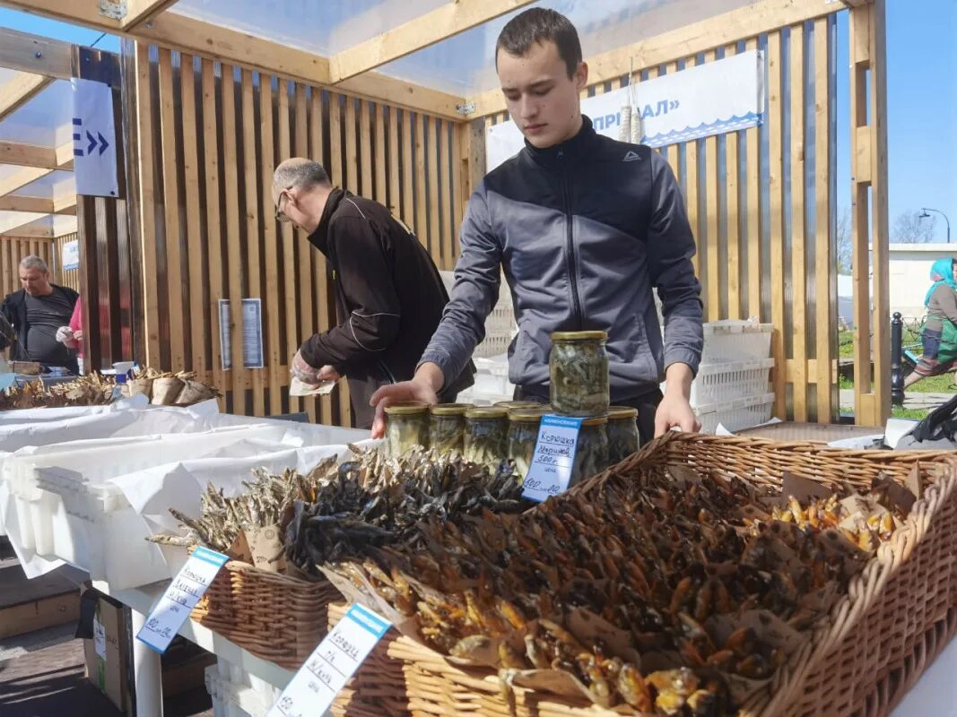 Фестиваль корюшки в новой ладоге. Новая ладога ленинградская область фестиваль корюшки. Корюшка идет фестиваль. Фестиваль корюшка идет новая ладога 2022. Фестиваль корюшки в новой ладоге.