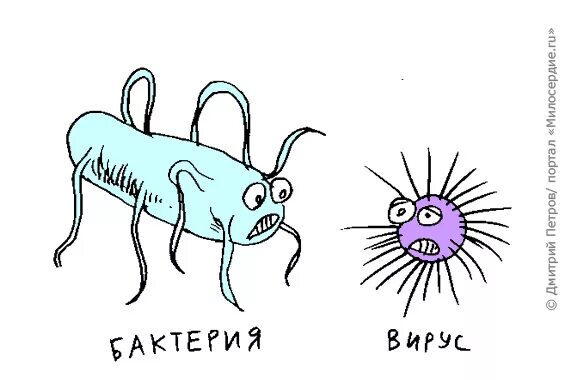 Вирус гуляет. Какой сейчас идет вирус. Канал вирус. Вирус ходит Мем.