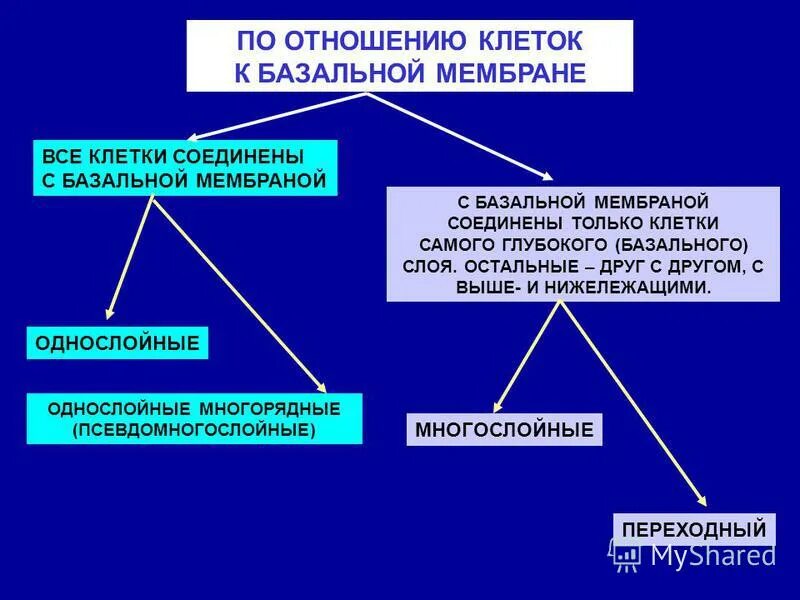 система сложившихся взглядов на окружающий мир