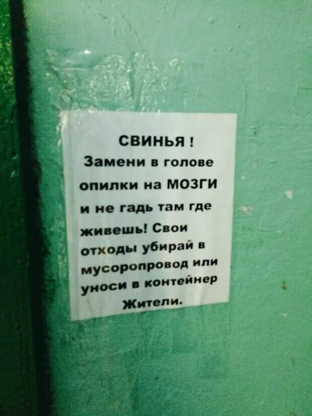 Соседи там живут. Объявления в подъезде. Прикольные объявления в подъезде. Прикольные надписи в подъездах. Смешные объявления в подъездах.