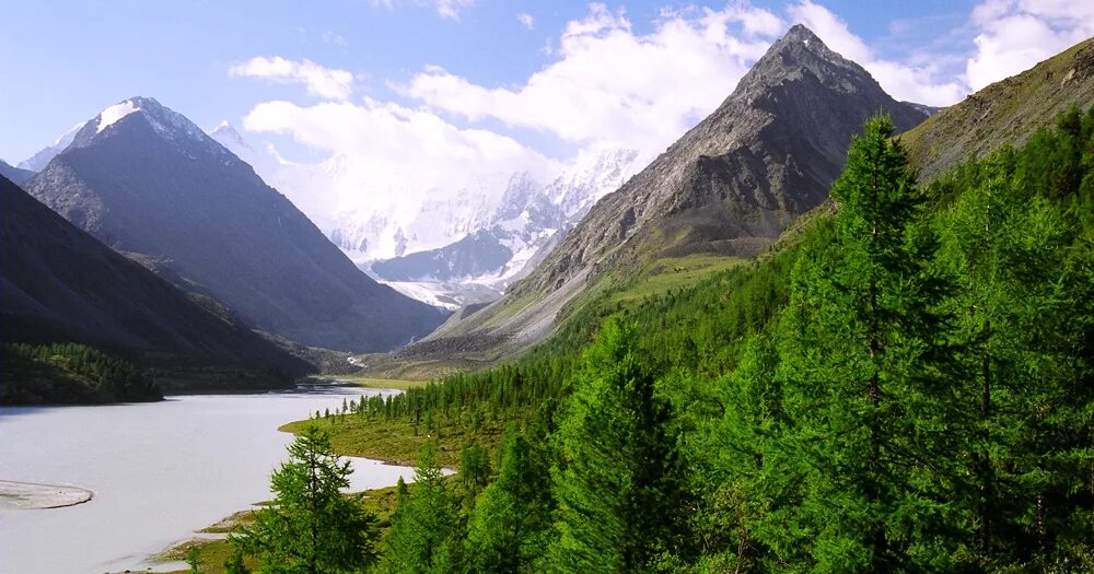 кони алтай чемал. алтай на 4 дня. алтай на 4 дня. горно-алтайск экскурсии. подножье белухи алтай.