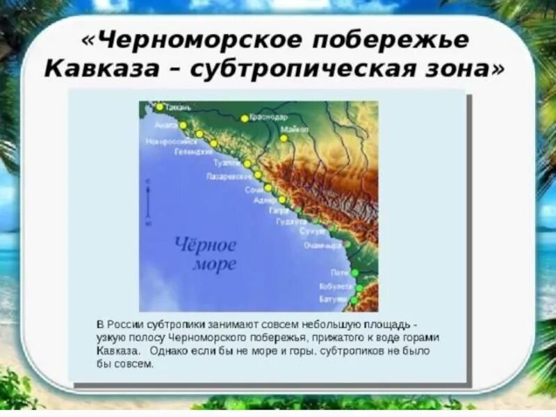 Субтропики расположение. Климат субтропиков Черноморского побережья России. Зона субтропиков Черноморского побережья на карте. Географическое положение субтропиков в России. Черноморское побережье Кавказа расположено.