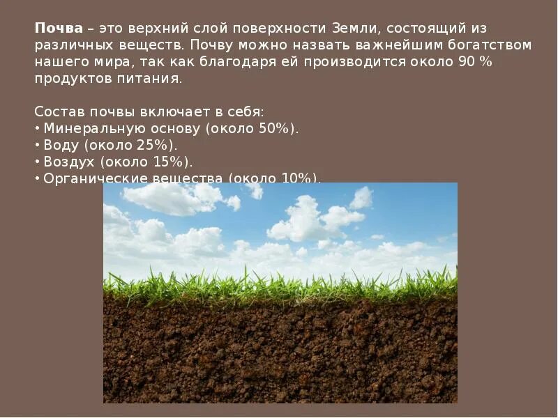 Типы черноземных почв. Какая почва самая плодородная. Что такое гумус почвы. Основы сведения о почвах нашего края. Зональные типы почв.