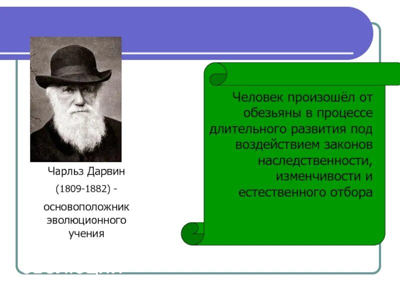 Человек не является результатом только биологической революции