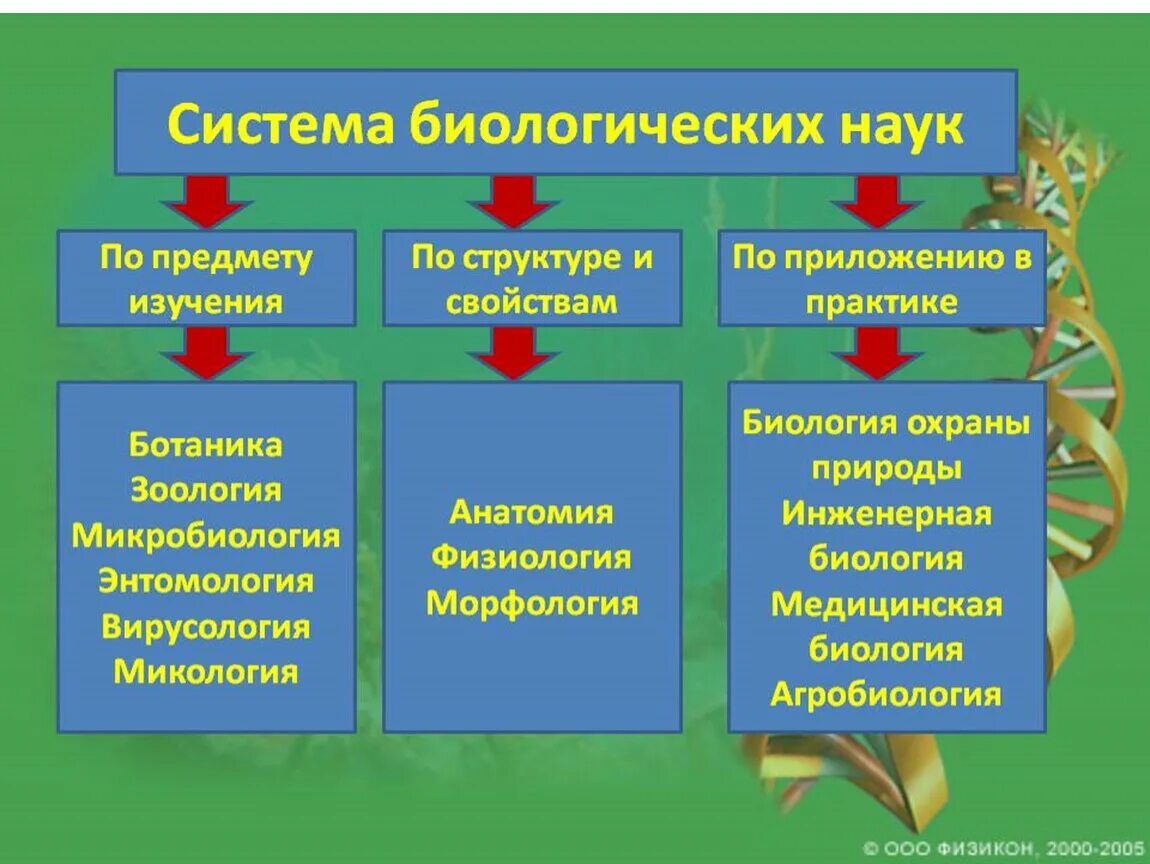 Какие науки бывают в биологии. Система биологических наук схема. Биология в системе наук. Современная биология термин. Классификация разделов биологии.