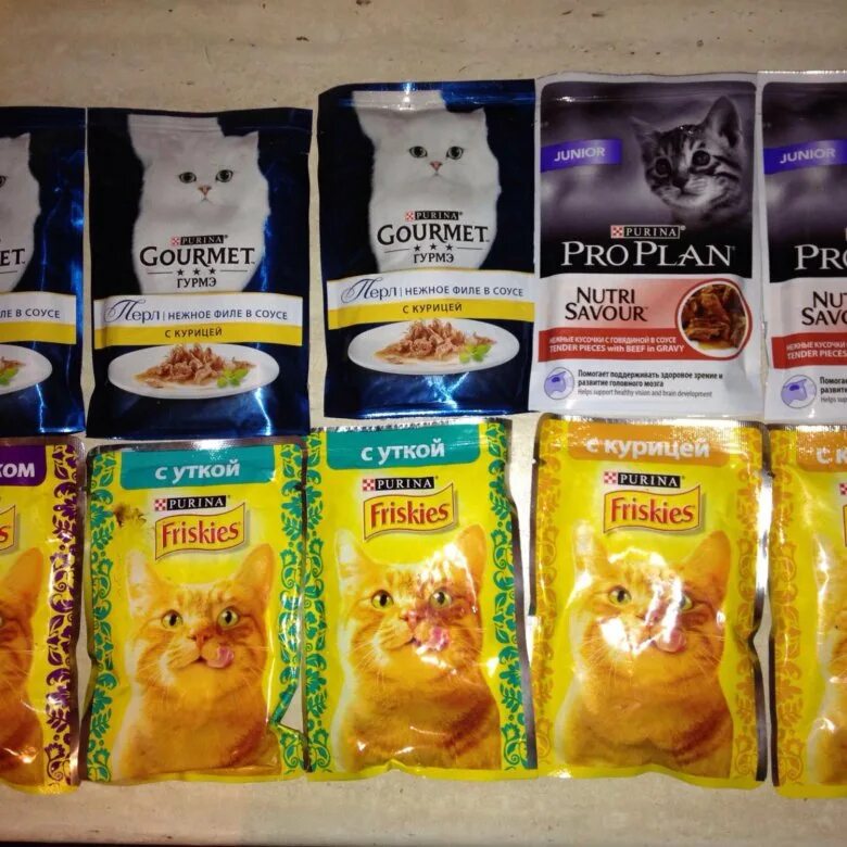 Влажные пакетики для кошек. Кошачий корм в пакетиках. Корм для кошек в пакетиках. Кошачий корм в пакетиках жидкий. Кошачья еда в пакетиках.