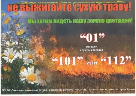День пал