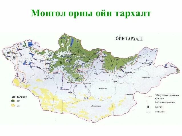 Средняя плотность населения монголии. Природная территория &quot;монгол дагуур&quot; на карте. ойн тархалт в монголии фото. бегангал.