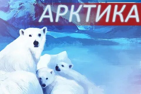 Слово арктика происходит
