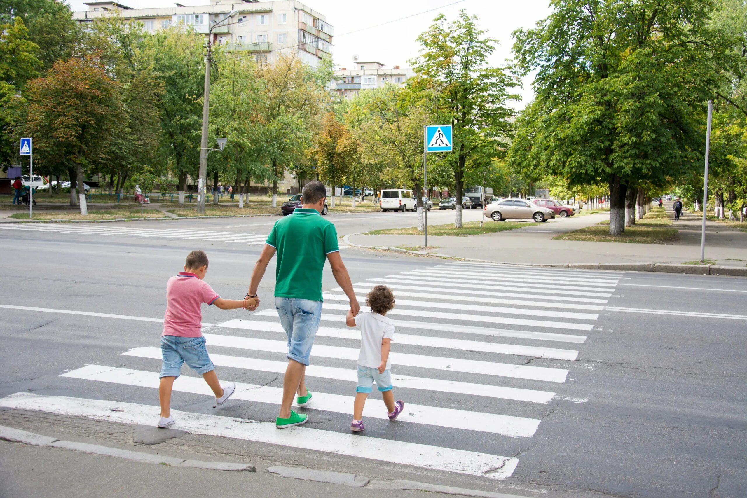 Пешеход род. Дорога с пешеходным переходом. Пешеход на дороге. Пешеходный для детей. Дети пешеходы.