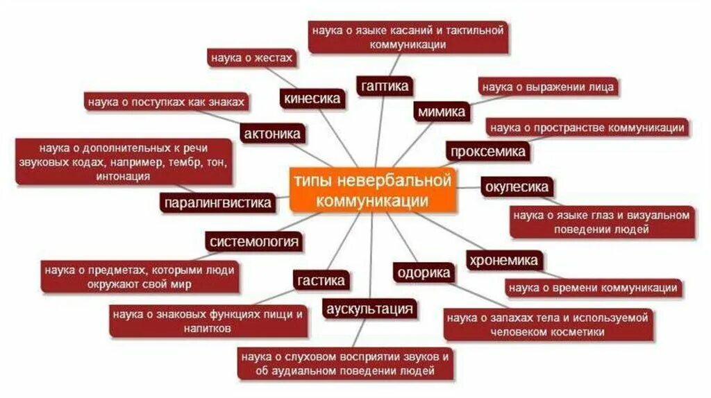 По каким чертам поведения можно узнать. Типы невербального общения. Невербальные способы общения. Виды невербальной коммуникации. Невербальное Тип общения виды.