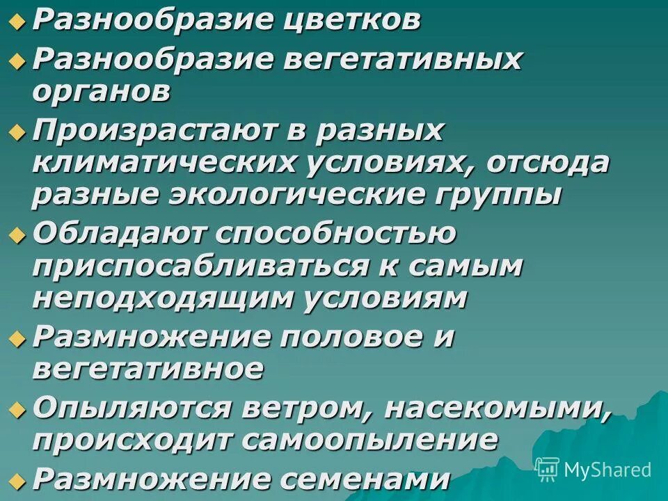 Разнообразие органов. Видоизменения органов растений презентация. Тело человека органы для детей. Разнообразие видоизменений органов растений. Разнообразие органов.