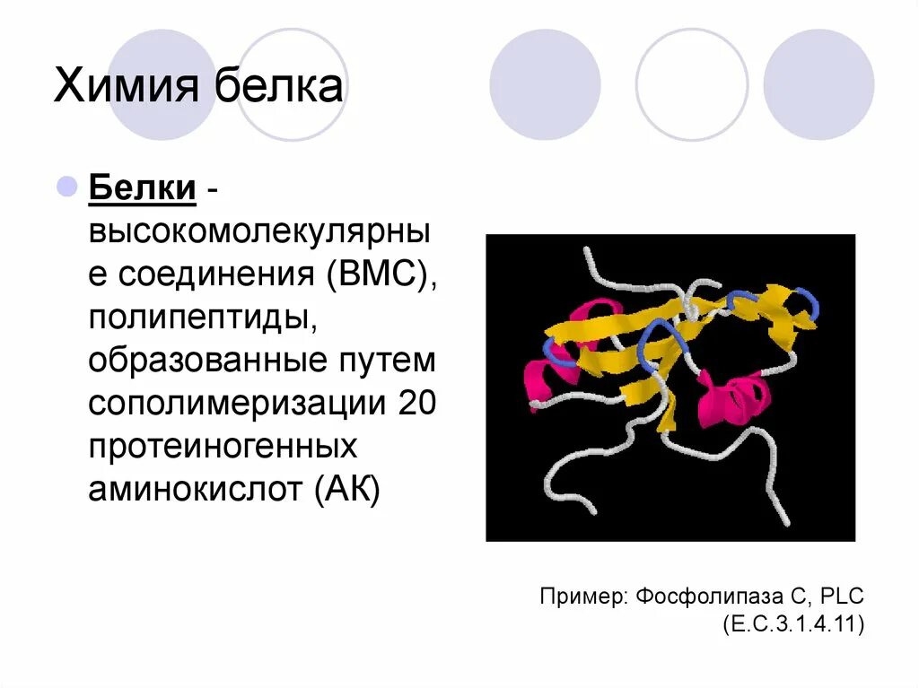 Белок высокомолекулярное соединение. Белки химия. Белки презентация по химии. Высокомолекулярные белки примеры. Белки как химический элемент.