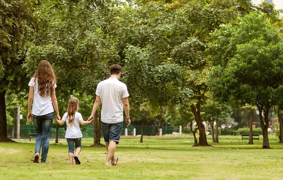 Семья играет в мяч. Пикник в парке с семьей. Family in the park. Family in the park. Люди на пикнике в парке.