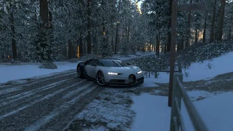 Wintering 4