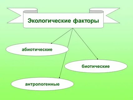 Какие два фактора