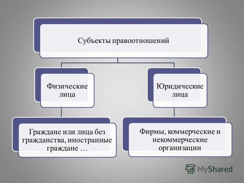 Субъектами правоотношения являются выберите ответ