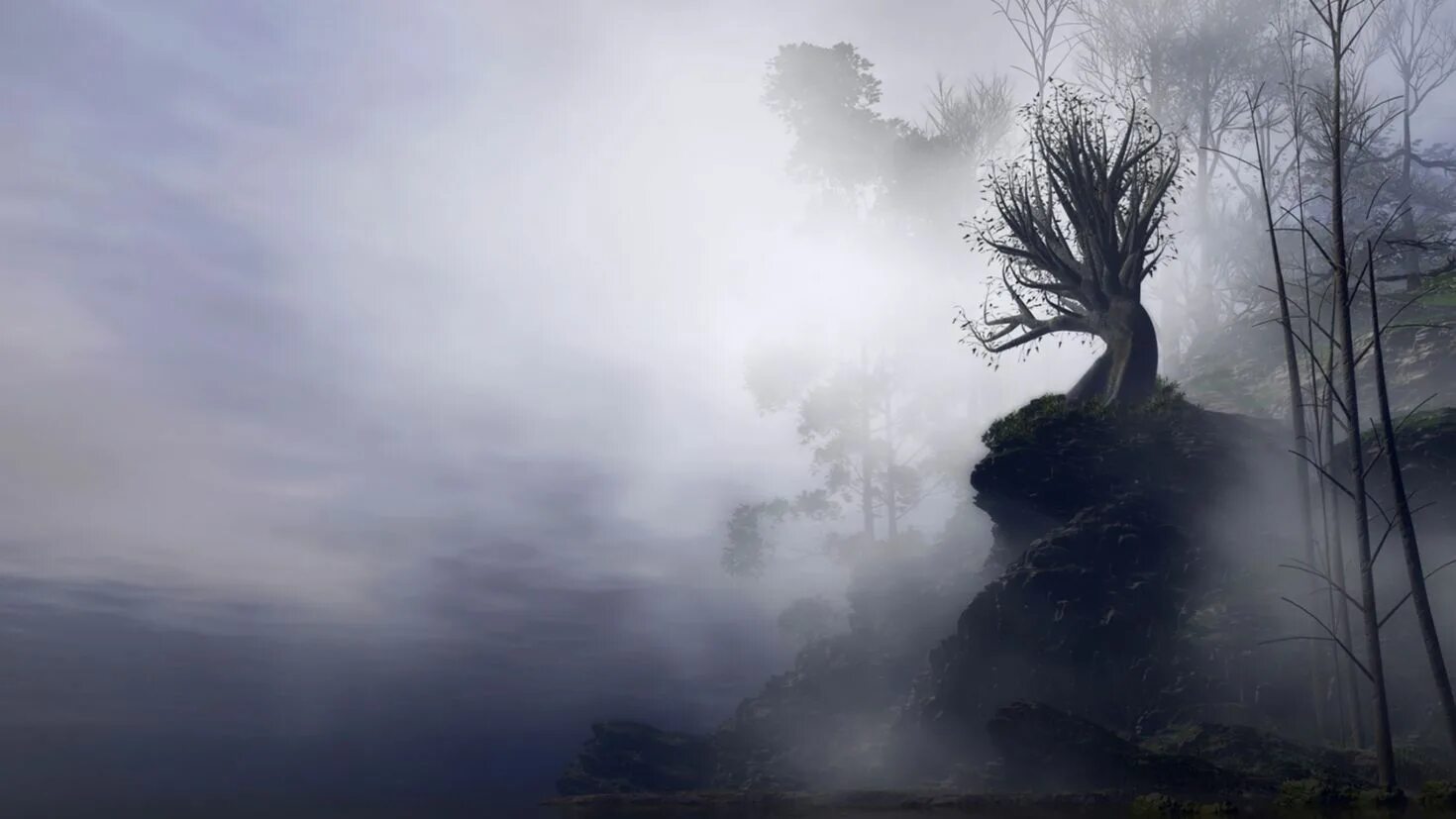 Ветвь туманного дерева. Зловещий туман. Туман арт. Мрачный пейзаж. Страшный туман.