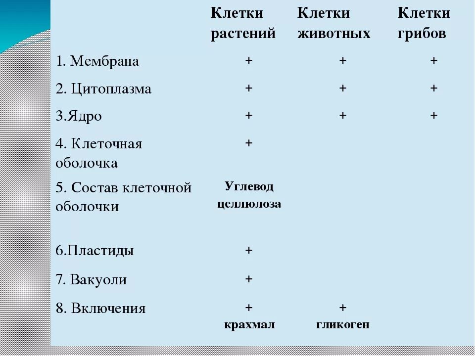 Сравнение бактерий и растений. Сравнительная таблица клеток растений животных и грибов. Клетки грибов растений и животных. Клетки растений животных грибов и бактерий. Клеточная мембрана у животных и бактерий.