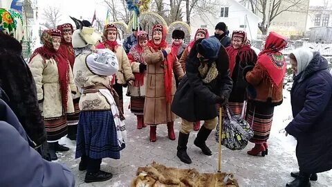 Миланка ходила васильку водила