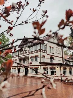 Цветы светлогорск калининградская область