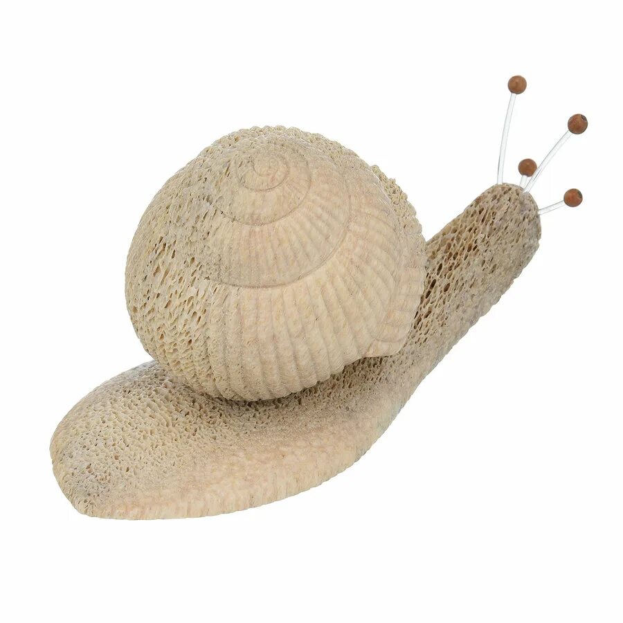 японская улитка. африканская улитка ахатина. улитка костя. улитка садовая фигура. улитка костя.