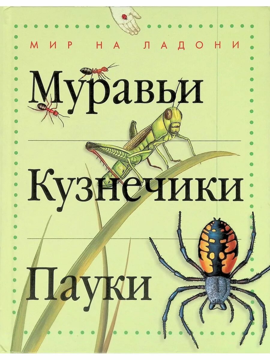Мурашка книга. Книги о муравьях. книги про пауков для детей. книга пауки. книга с пауком на обложке.