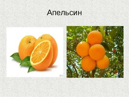 История слова апельсин