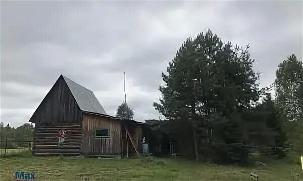 Погода в озерках клепиковского