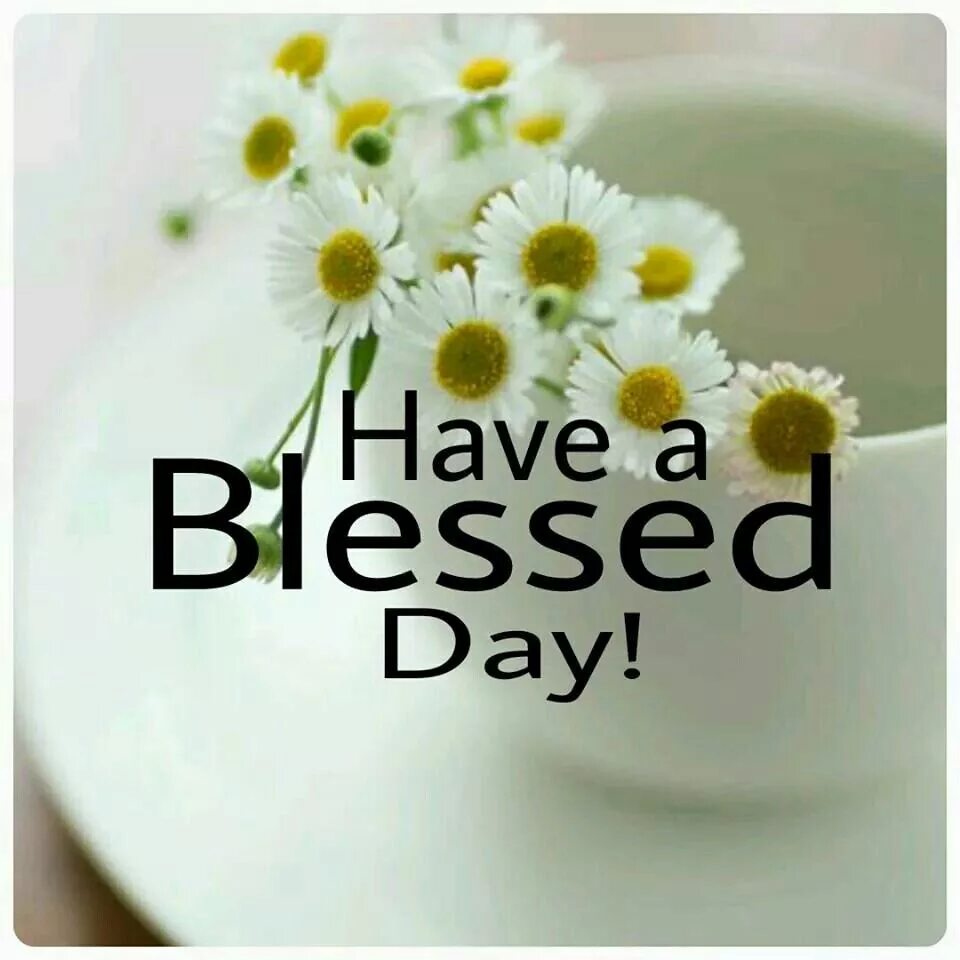 Good best to make today. Good Day открытки. Have a good Day картинки. Have a great Day открытки. Стильные открытки have a good Day.
