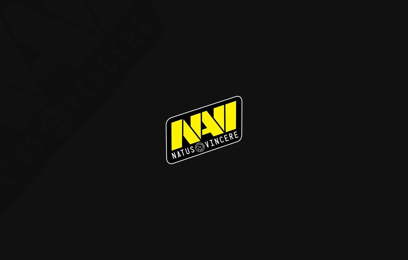 Navi CS go логотип. Ава нави черная. Авы для КС го нави. Фото Navi.