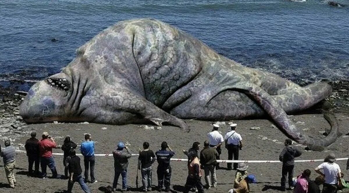 Большие существа в океане. Морское чудовище Трунко. Морское чудовище хафгуфа. Гигантские животные. Неизвестные морские чудовища.