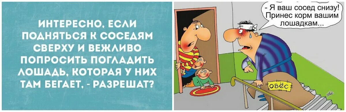 Личная жизнь моего соседа 43 глава. Приколы про шумных соседей. Карикатуры на шумных соседей сверху. Шутки про соседей сверху. Анекдот про соседей и слышимость.