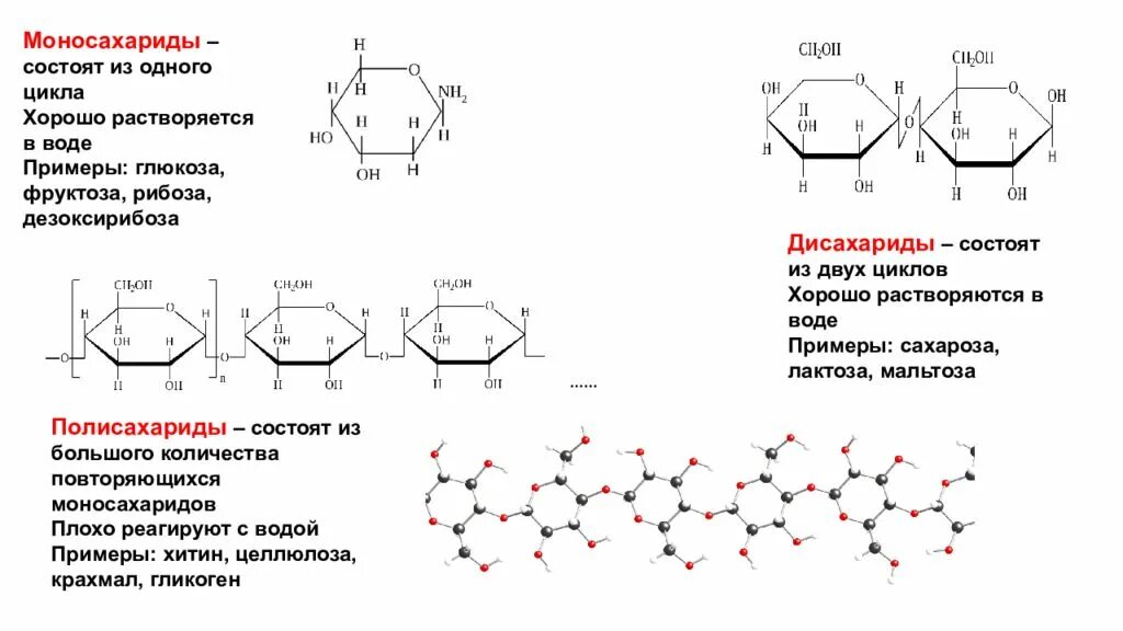 Клетка состоит из хитина. Крахмал гликоген Целлюлоза хитин. Полисахариды крахмал гликоген Целлюлоза хитин. Полисахариды Целлюлоза хитин. Хитин полисахарид или моносахарид.