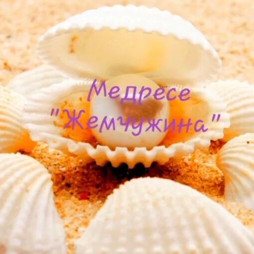 Губы гребешка