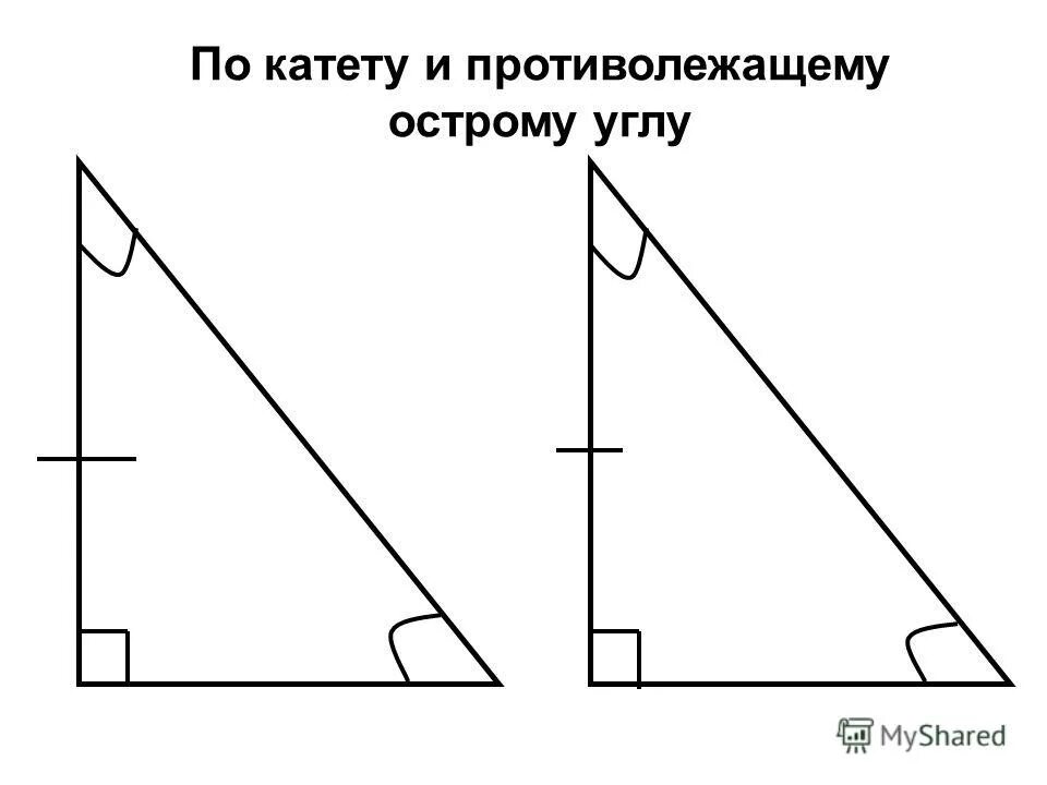Катет угла c. По катету и противолежащему острому углу. по гипотенузе и острому углу. признак по катету и острому углу. катет противолежащий углу.