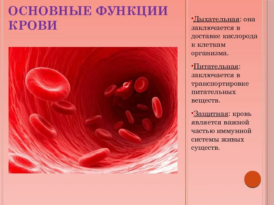 Дыхательную функцию выполняют клетки. Основные функции крови. Дыхательная функция крови. Питательная функция крови. Основные функции клеток крови.