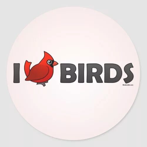 I love birds. Birds надпись. Biggest Bird надпись. Baby Bird надпись. Картинки надпись Birds for Kids.