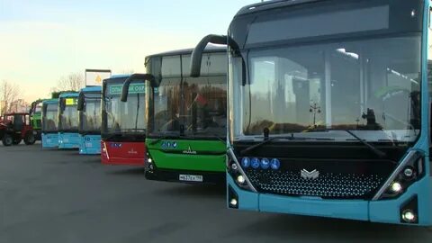 Автобус 230 спб