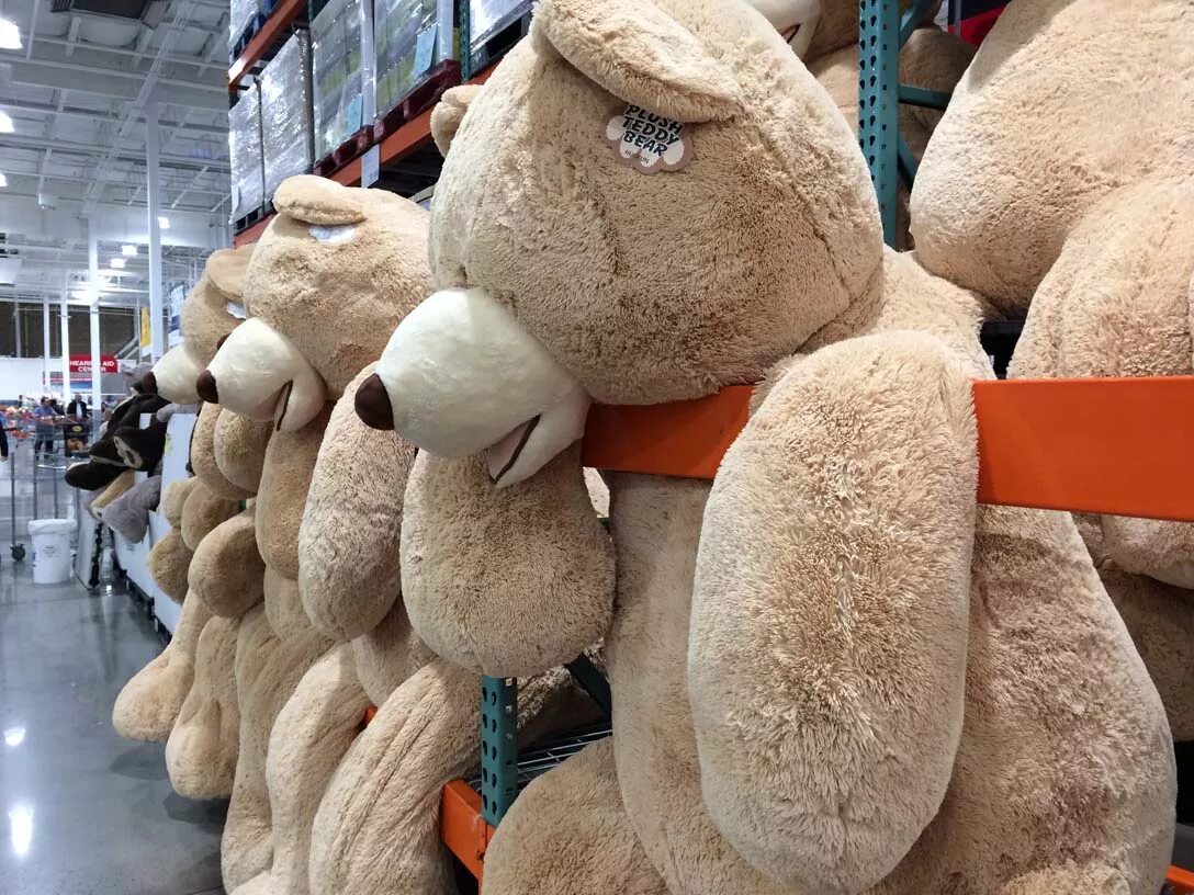 Giant toy. Toys r us Teddy Bear. Costco Plush Bear. Buy Costco Teddy Bear. Costco Toy.