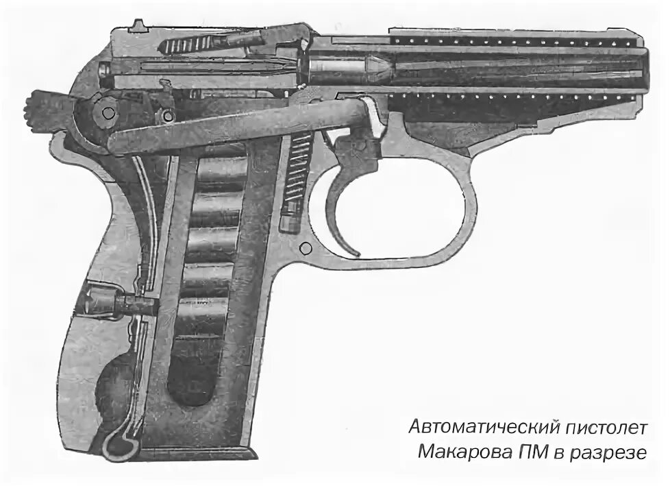 ПМ патронник в разрезе. Ствол пистолета Макарова в разрезе. Ствол 9мм ПМ В разрезе. Автоматика пистолета макарова