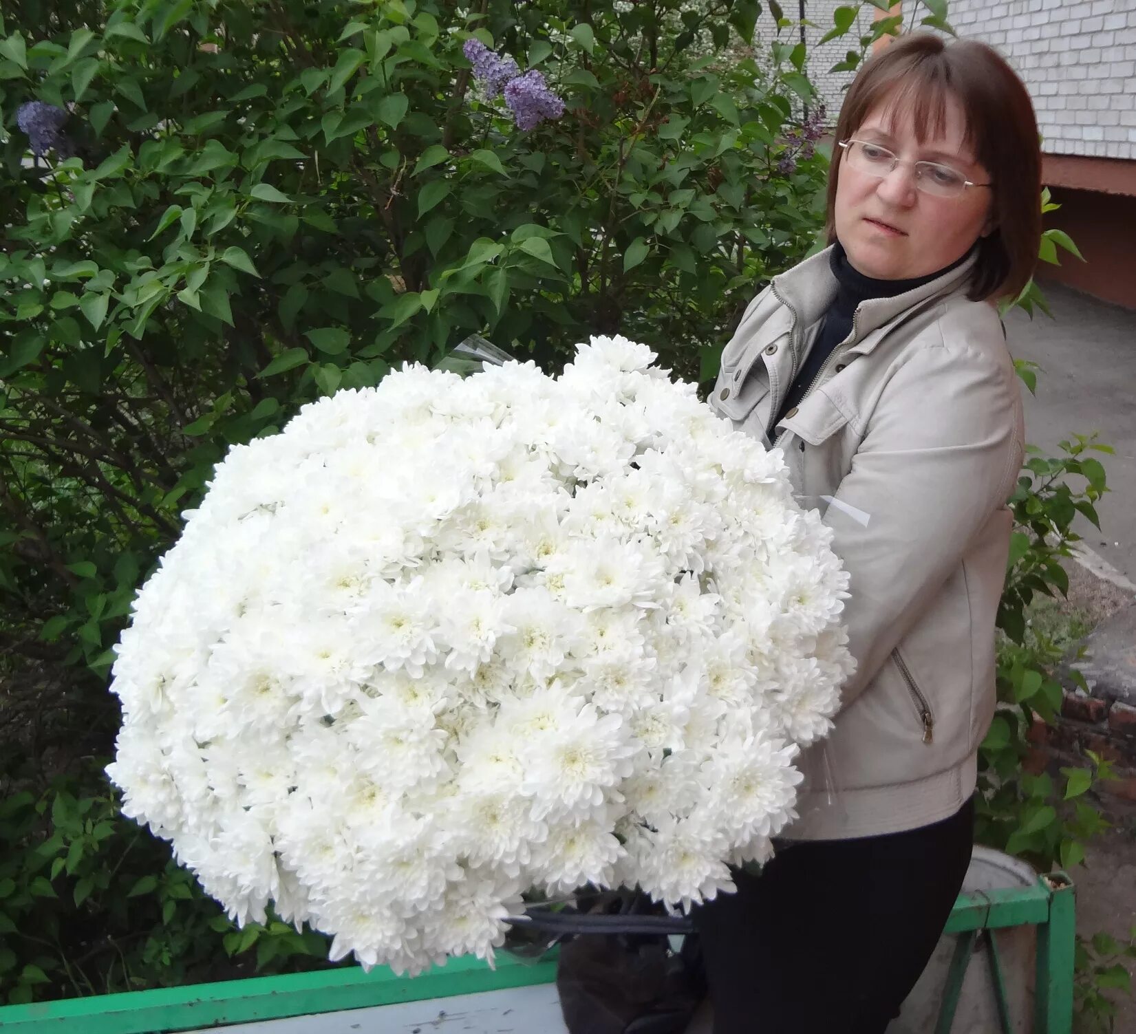 как выглядит букет хризантем. как выглядит букет хризантем. хризантема кустовая белая. хризантема кустовая бакарди белая. как выглядит букет хризантем.