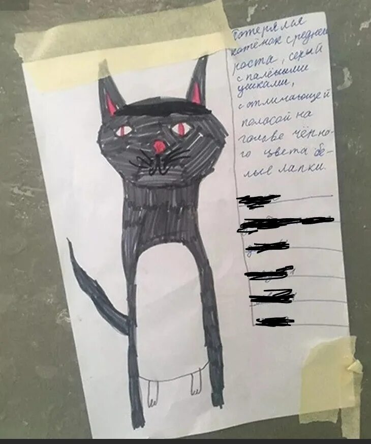 Коту тимофею не меньше десяти лет воздух